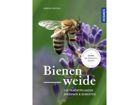 Die Bienenweide