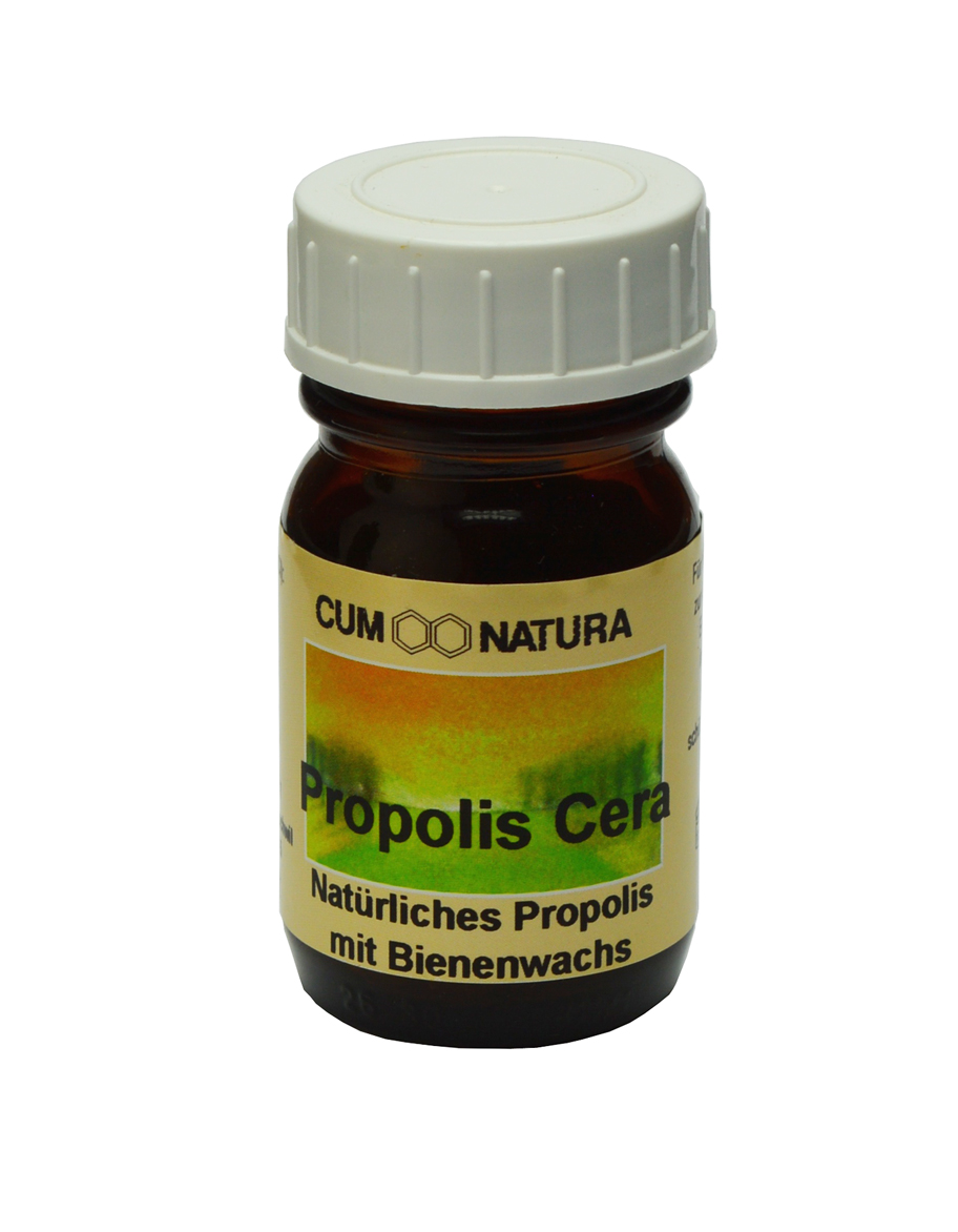Propolis Cera Propolis à mâcher